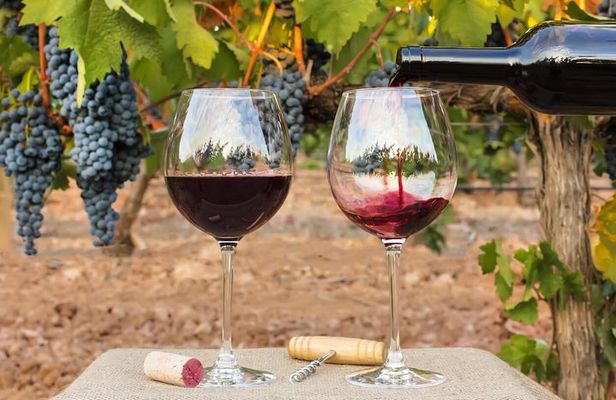 7-Days Unique Experience visiting the best Chilean & Argentinean Wine Valleys!