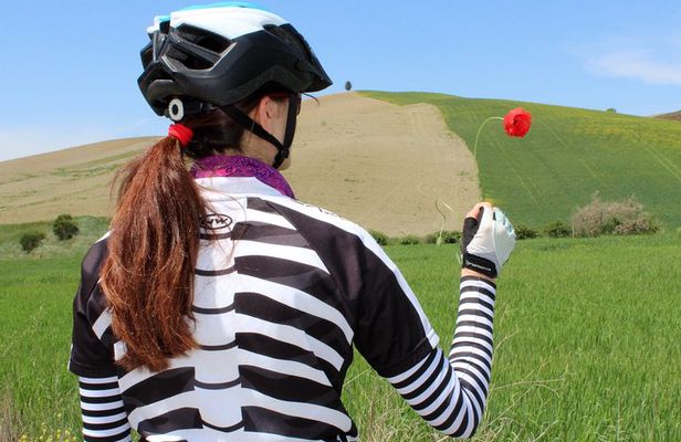 Bike Ride immersion val d'Orcia