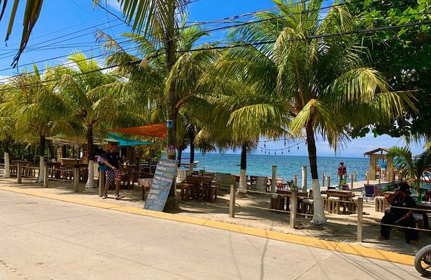 Roatan VIP Shore Excursion Island Tour and Beach