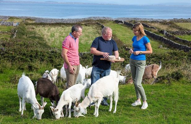 Food, heritage & cultural tour Inishmore, Aran Islands. Guided.