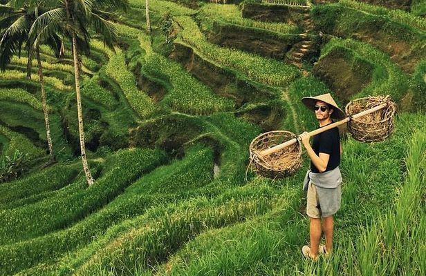 Ubud Sightseeing, Holy Water Temple & Waterfall