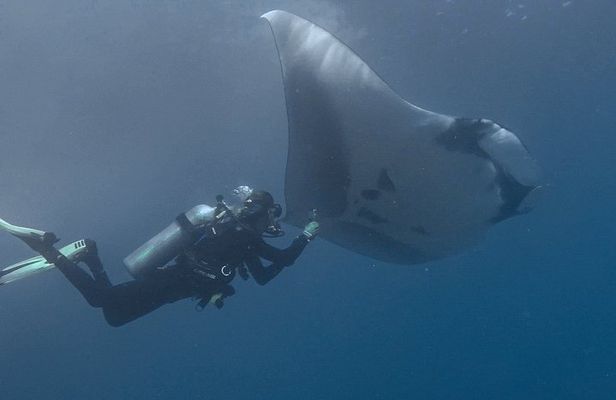 Open Water Diver Certification OWD