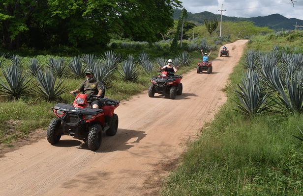 ATV's Tour to La Vinata Los Osuna
