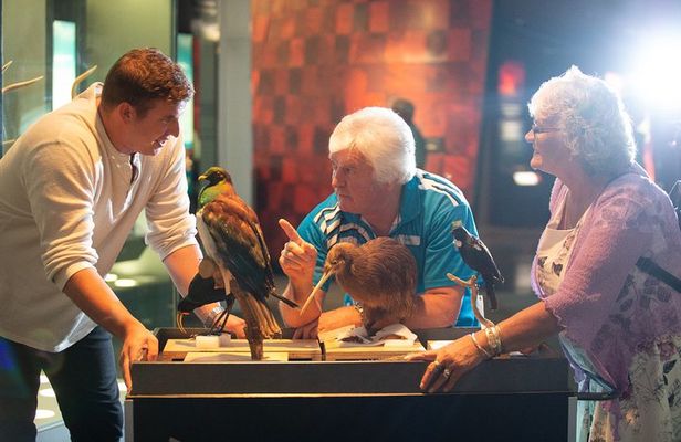 Museum of New Zealand Te Papa Tongarewa: Introducing Te Papa Tour