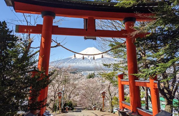 Private Car Tour to Mt. Fuji Lake Kawaguchiko or Hakone