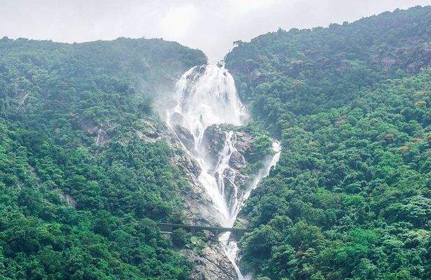 Private Dudhsagar waterfalls & Spice Plantation with Lunch from Mormugao Port
