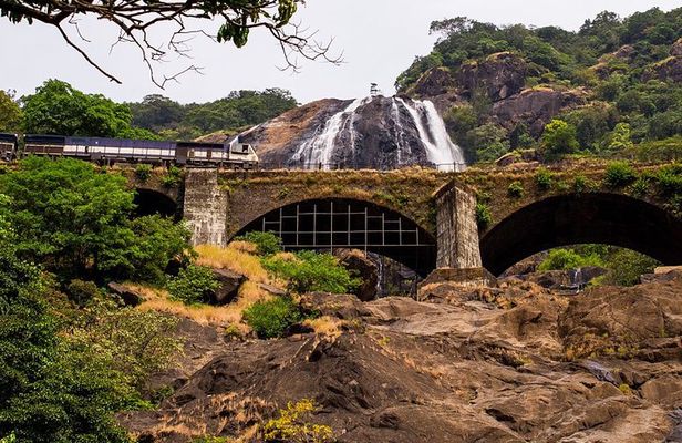 Private Tour to Goa and Dudhsagar Waterfalls with Lunch
