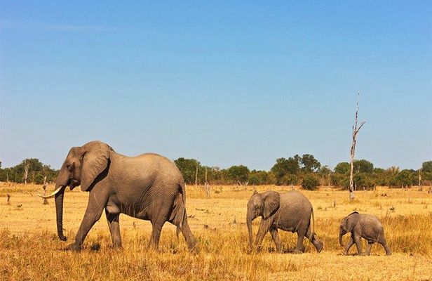 3 Days, 2 Nights Safari - Amboseli National Park and Tsavo West Adventure Safari