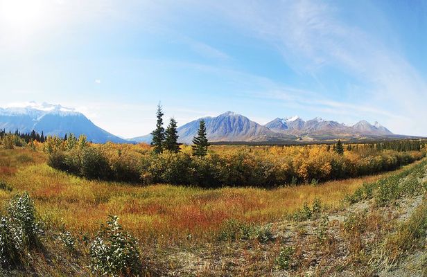 Arctic Day: Kluane National Park Tour | full day