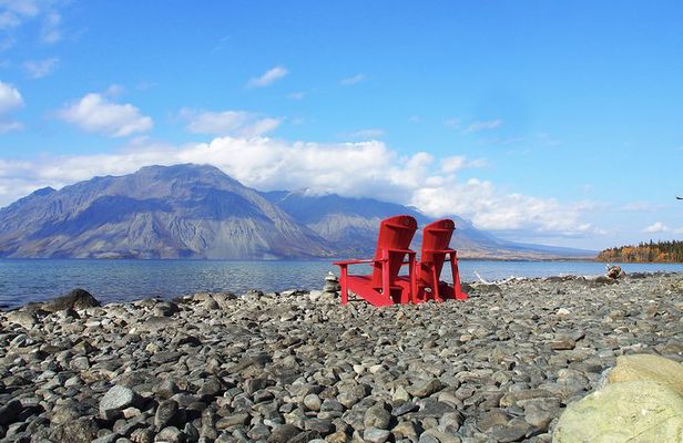 Arctic Day: Kluane National Park Tour | full day