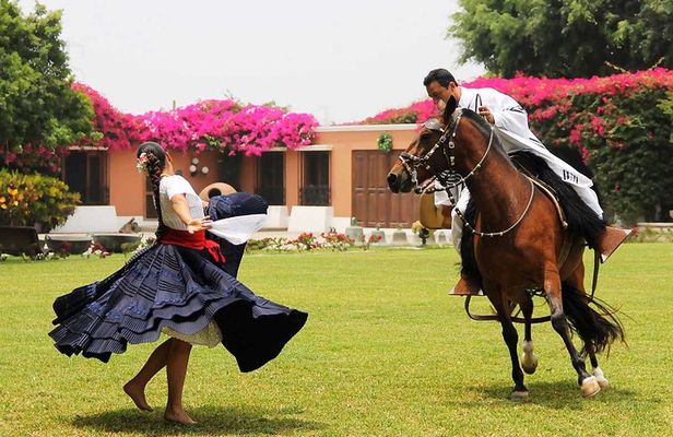 Dancing Horse Show & Lunch Buffet + Pachacamac Inca Remains