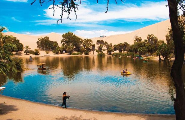 Ballestas Islands & Huacachina Oasis from Lima - Private Trip 