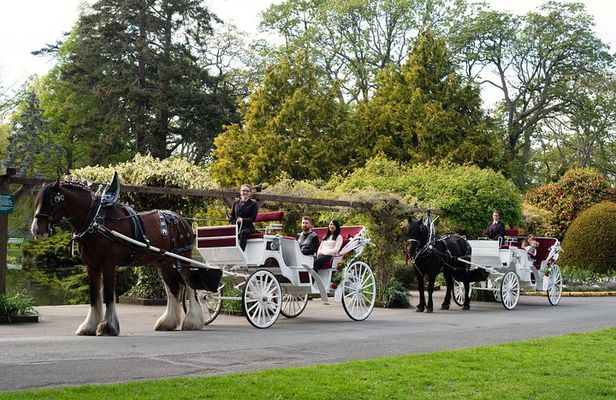 Beacon Hill Park Horse-Drawn Carriage Experience in Victoria