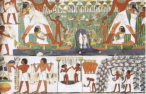 Private Guided Tour to Habu Temple, Valley of the Queens and Deir El Madina
