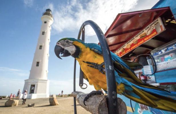 Aruba Shore Excursion: The Highlights and Delights Tour