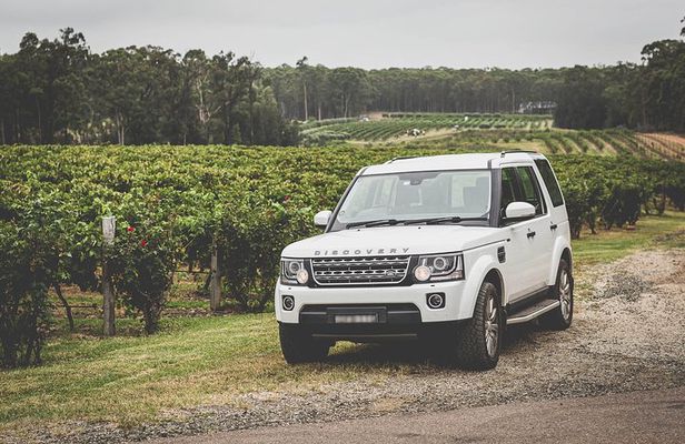 Hunter Gleann Private Tour- Indulgence Wine Tour (Full Day)