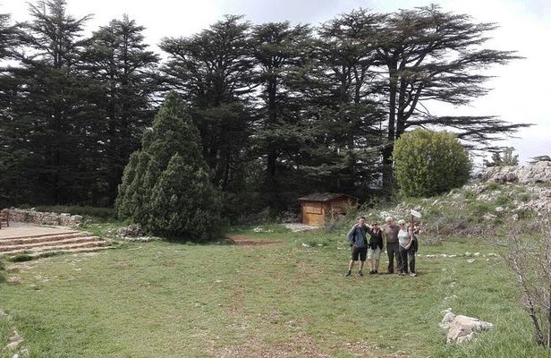 Exploring the Qadisha Valley, Cedars of God, and Baalbek Temples