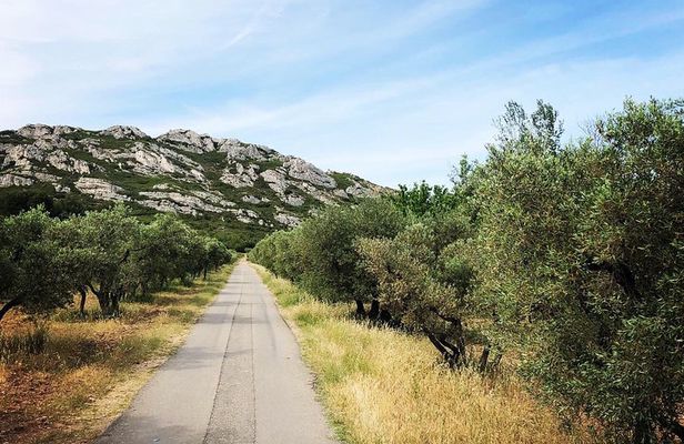 4x4 safari - 4h Alpilles Provence - Departure from Arles