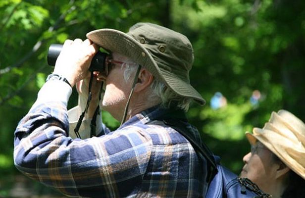 Birdwatching Walk in Thalangama Wetland from Colombo