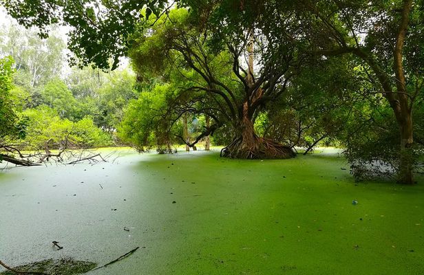  Romantic tour in Ludhiana