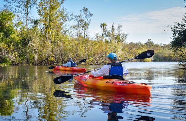 Everglades Guided Kayak Tour
