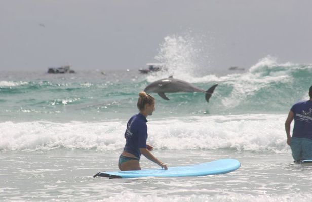 2 Hour Ultimate Learn to Surf Adventure