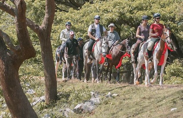 Horse riding tour (7 Days)