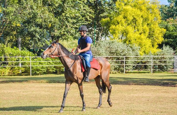 Horse Riding for Beginers from Dambulla