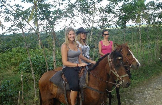 mountain horse back riding
