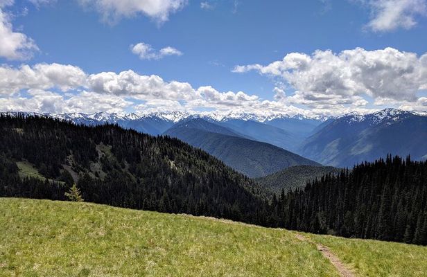 Olympic National Park - Private Luxury Day Tour with Lunch