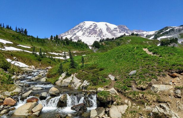 Mount Rainier National Park - Private Luxury Day Tour with Lunch