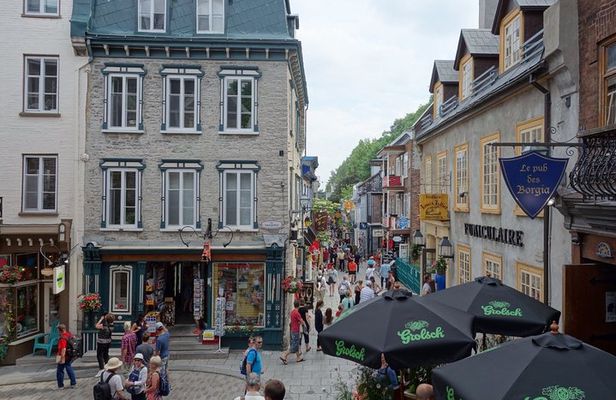 Montreal City Sightseeing Tour with Live Commentary