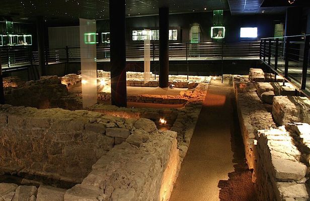 2 Hour Private Guided Walking Tour: Roman Mainz