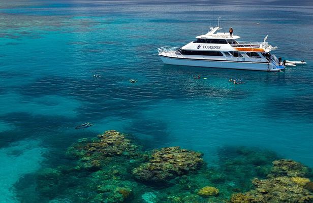 Poseidon Outer Great Barrier Reef Snorkeling and Diving Cruise from Port Douglas