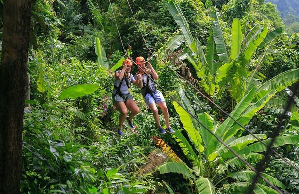 Zipline & Coffee with Waterfall Views in Koh Samui