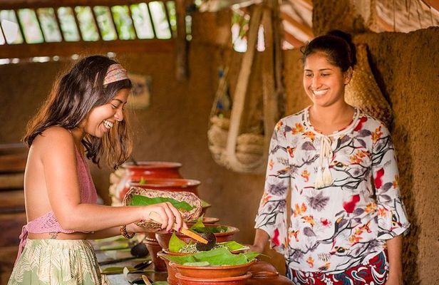 Waterfall Hike and Village Experience from Mahiyanganaya