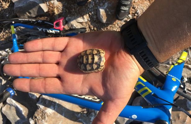 East Mani Road e-Bike Tour