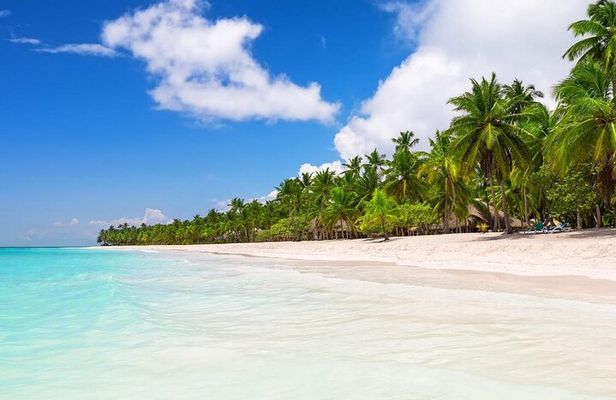 Saona Island Private Small Group
