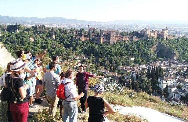 Granada: Sacromonte Private Tour