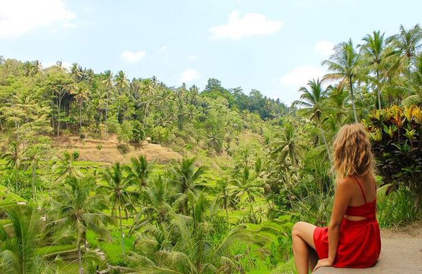 Best of Bali in 3 Days - Private Tour Package