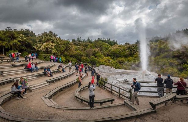 Magical Wanderer Experience Private Tour to Te Puia & Wai-O-Tapu