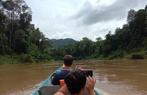 Taman Negara National Park Day Tour (SIC - Join In Tour)