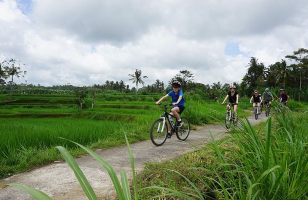 Kintamani Cultural and Nature Cycling Tour ( Manual Bike )