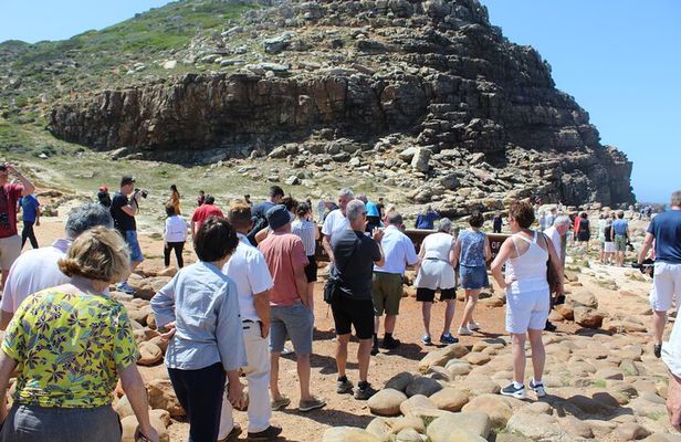 Small Group Private Tour To Cape Point Penguins From Cape Town Excl Entry Fees