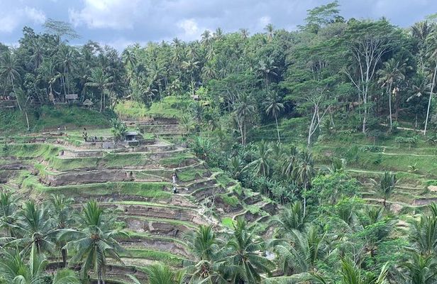 Best of Ubud & Mount Batur Volcano Private Bali Tour