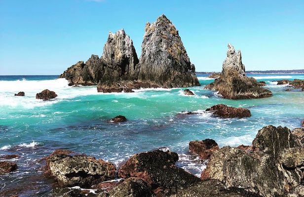 South Coast Nature Tour