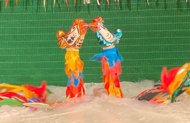 3-hour Dinner cruise on Saigon river plus Cyclo & Water puppet show evening