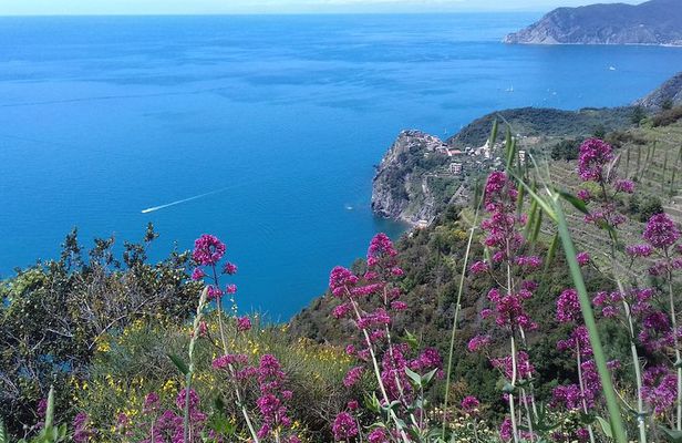 Cinque Terre unforgettable hiking experience