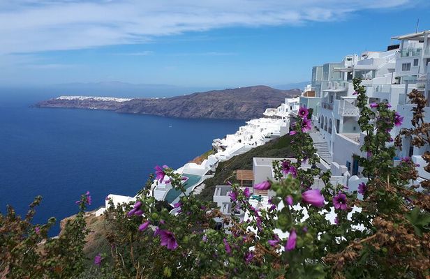 Santorini Highlights& Wine Tasting Private Tour