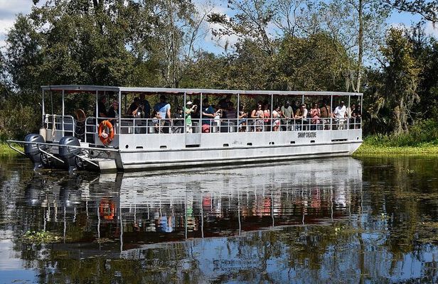 Guided Boat Tour of New Orleans Bayou and Wildlife